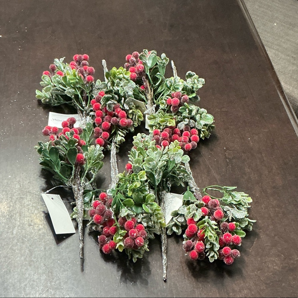 8 Festive Red and Green Berry picks by 
Valerie Parr Hill.